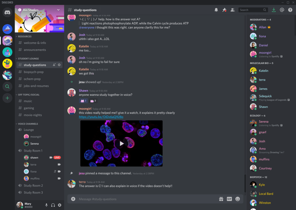 Interfaz de un chat grupal en Discord