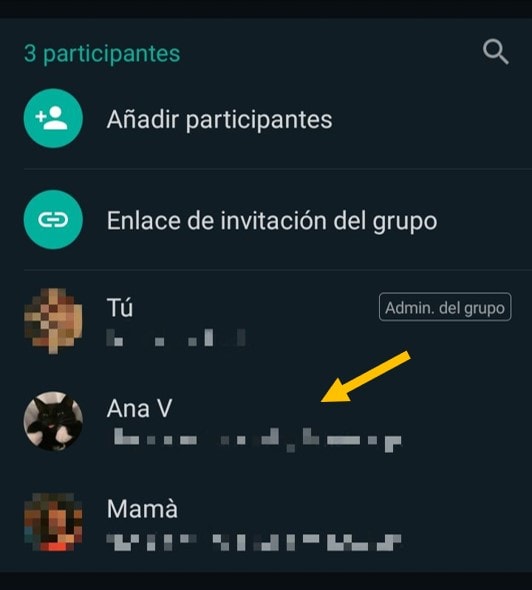 Cómo editar un contacto en WhatsApp desde un grupo en Android 2