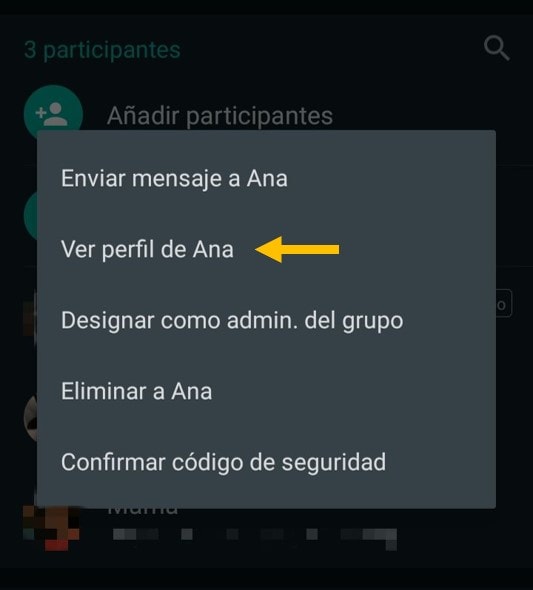 Cómo editar un contacto en WhatsApp desde un grupo en Android 3