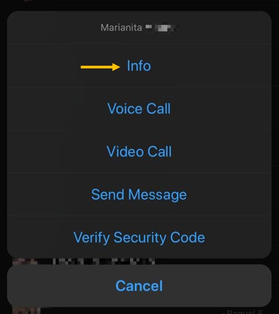 Cómo editar un contacto en WhatsApp desde un grupo en iPhone 3